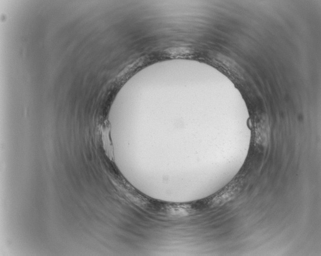 X0000058120618200510212022