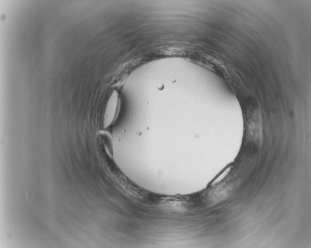 X0000058120620200510212022