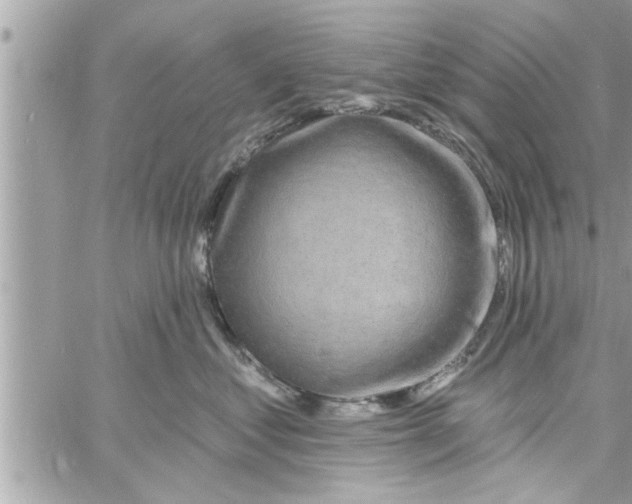 X0000058120621200510212022