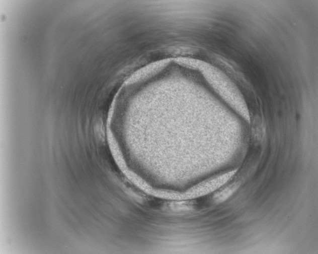 X0000058120622200510212022