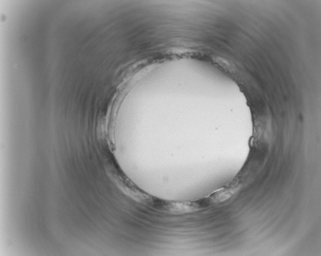 X0000058120623200510212022