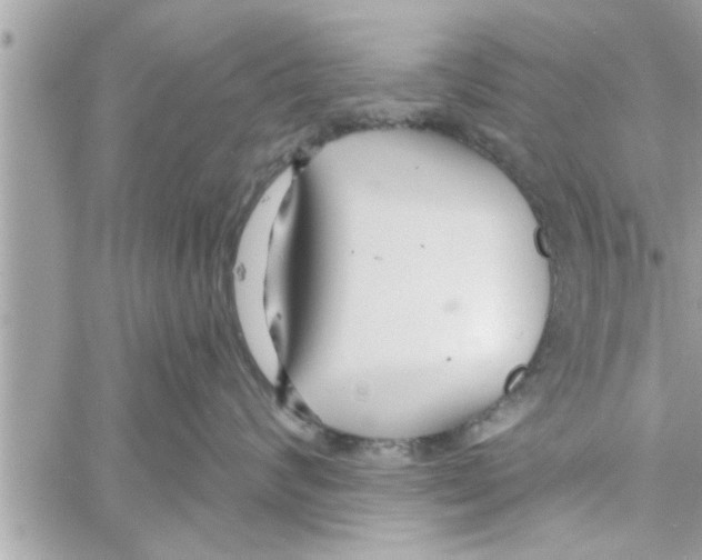 X0000058120624200510212022