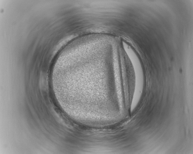 X0000058120626200510212021