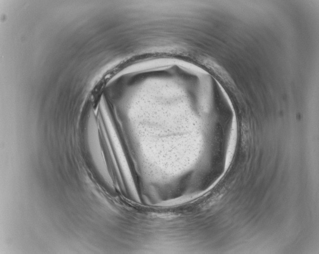 X0000058120628200510212021