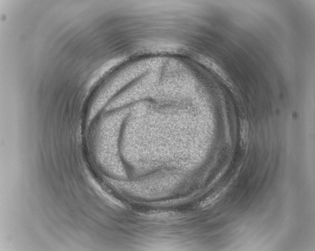 X0000058120629200510212021