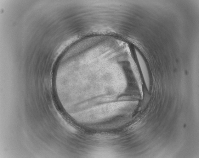 X0000058120630200510212021