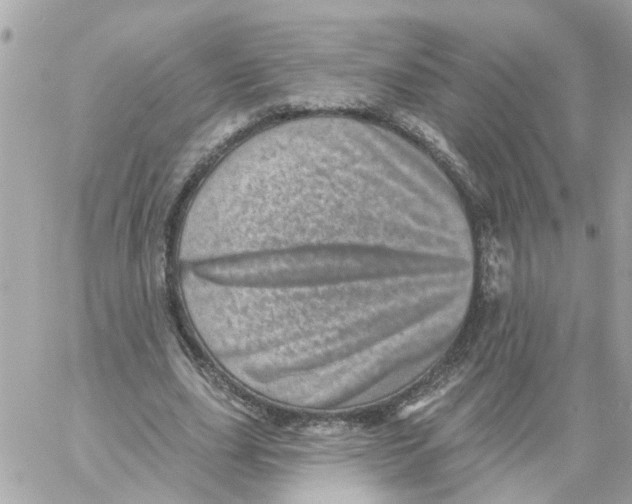 X0000058120631200510212021