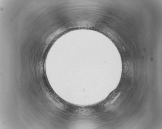 X0000058120632200510212021