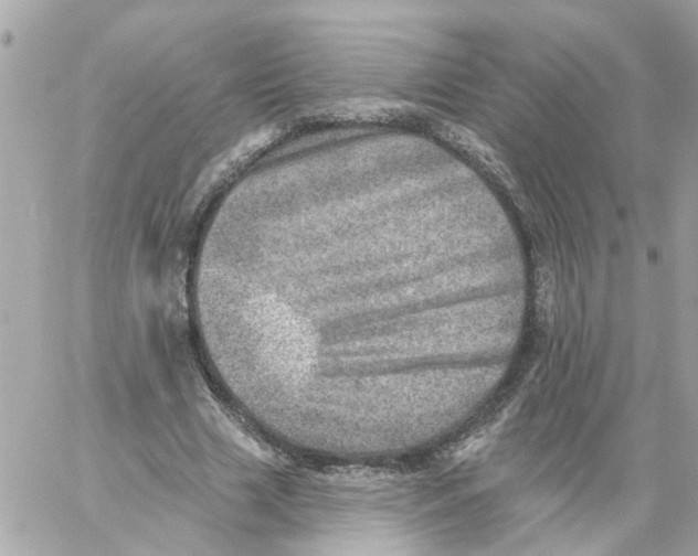 X0000058120633200510212021