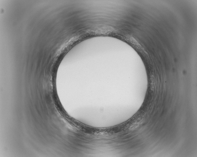 X0000058120634200510212021