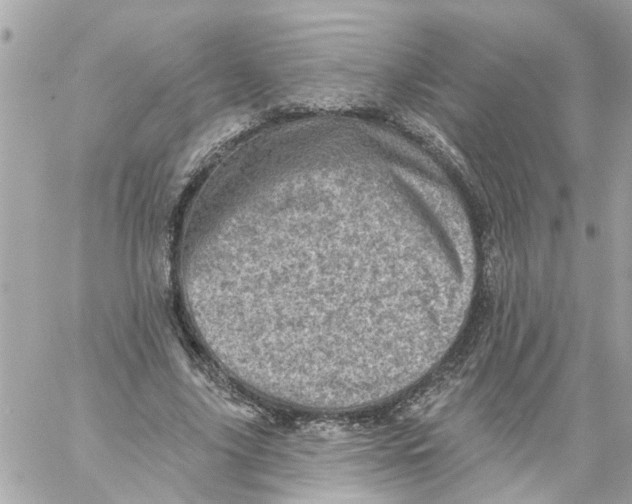 X0000058120635200510212021