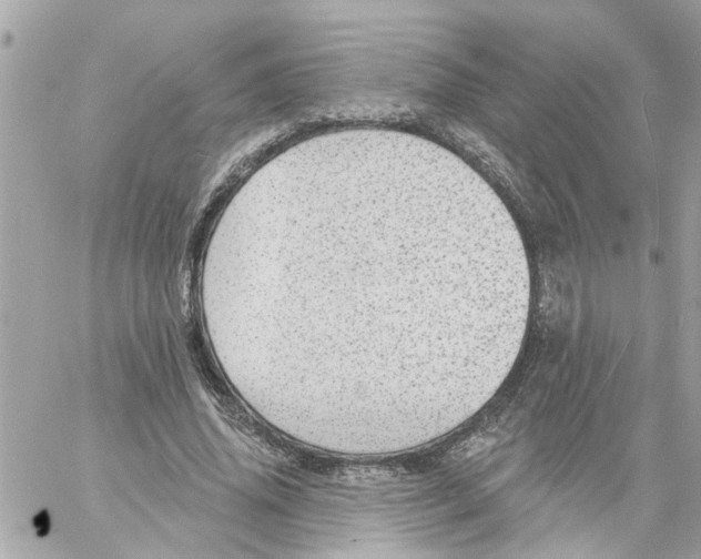 X0000058120636200510212021