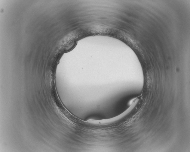 X0000058120637200510212021