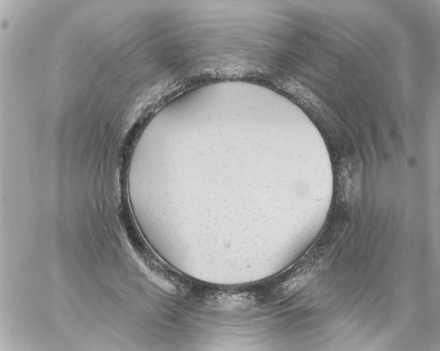 X0000058120638200510212021