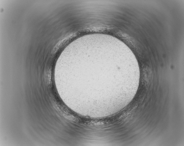 X0000058120640200510212021