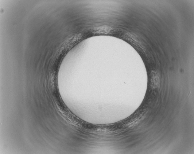 X0000058120641200510212021