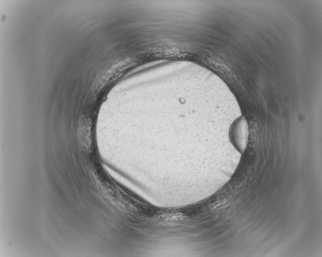 X0000058120642200510212021