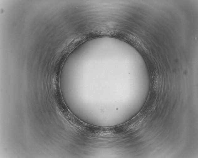 X0000058120643200510212021