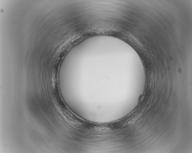 X0000058120644200510212021