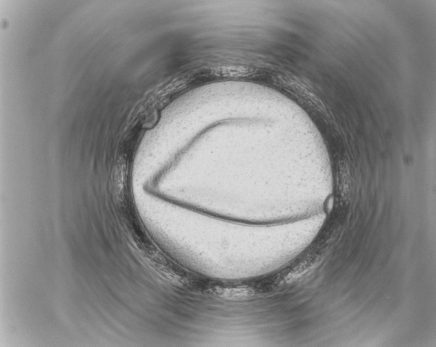 X0000058120645200510212021