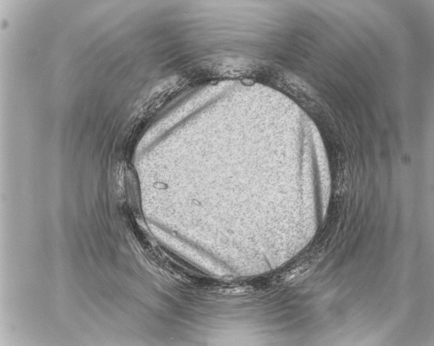 X0000058120646200510212021