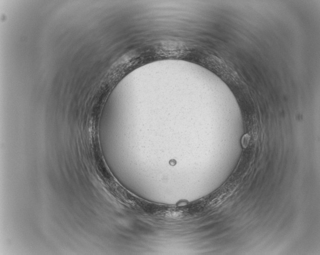 X0000058120647200510212021