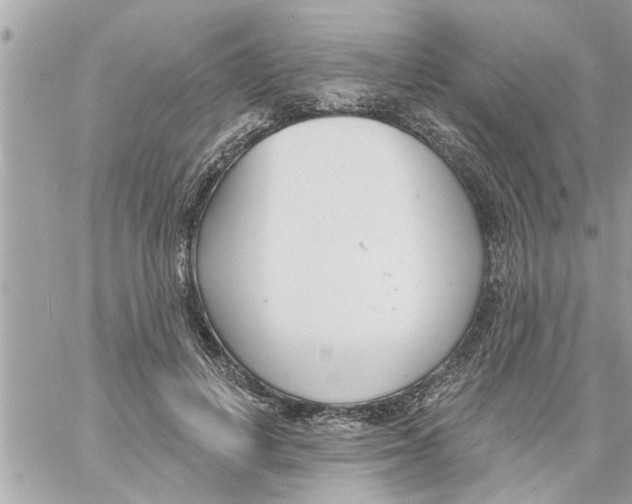 X0000058120648200510212021