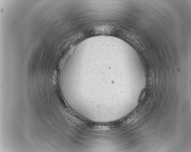 X0000058120649200510212021