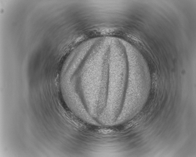 X0000058120650200510212021