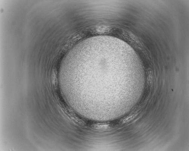 X0000058120651200510212021