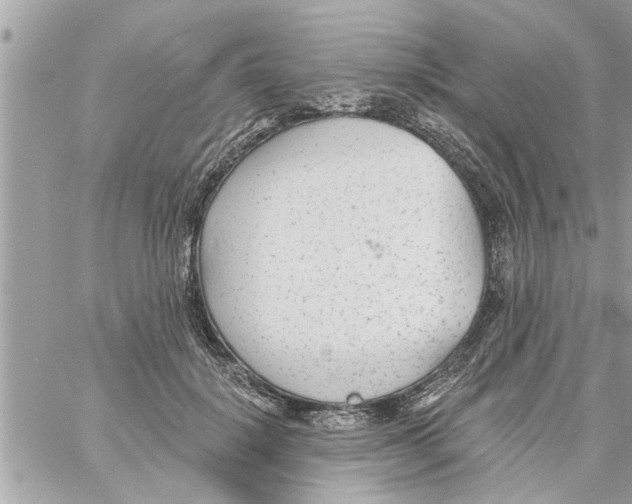 X0000058120652200510212021