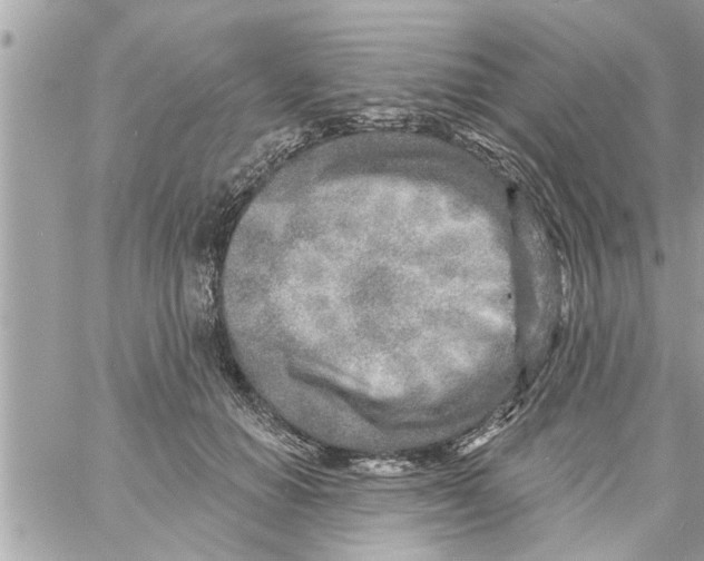 X0000058120654200510212021