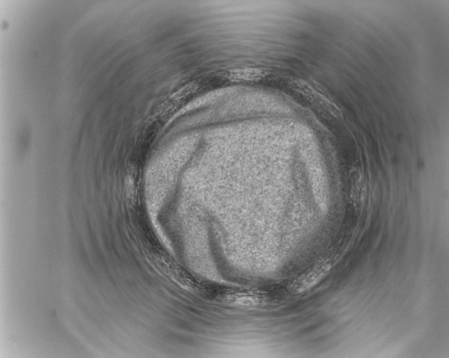 X0000058120655200510212022