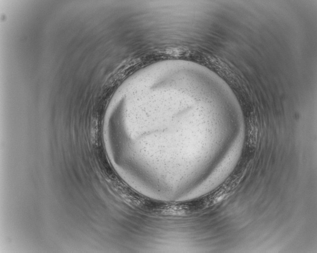 X0000058120656200510212022