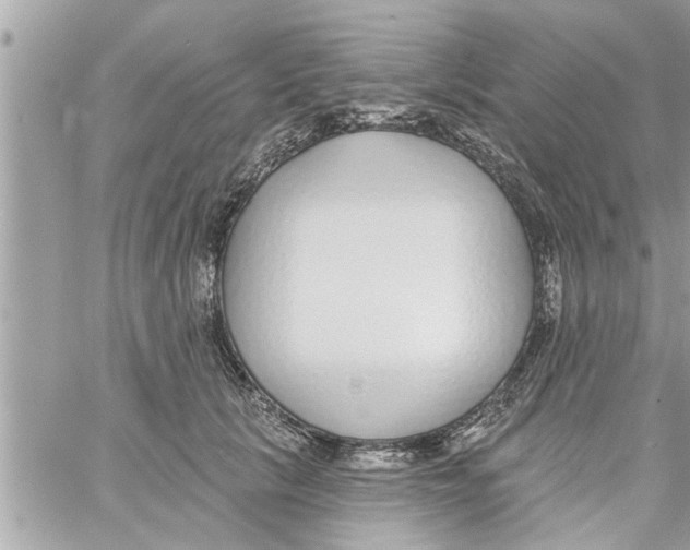 X0000058120657200510212022