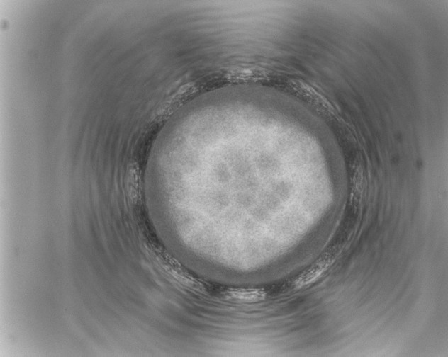 X0000058120659200510212022