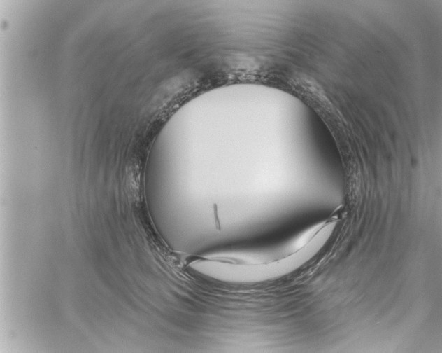 X0000058120661200510212022