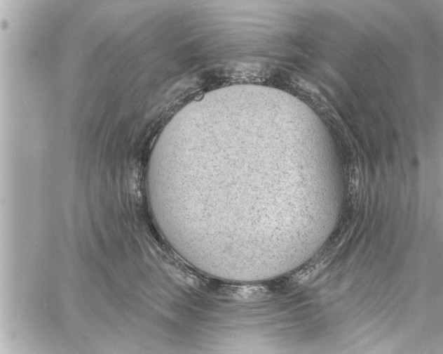 X0000058120663200510212022