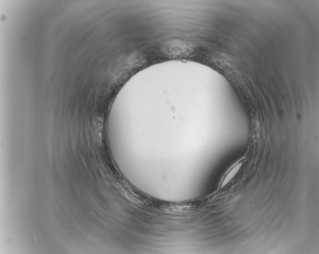 X0000058120664200510212022