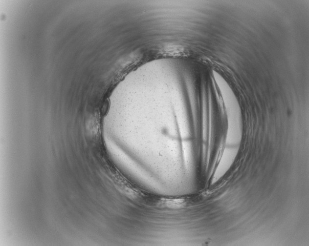 X0000058120665200510212022