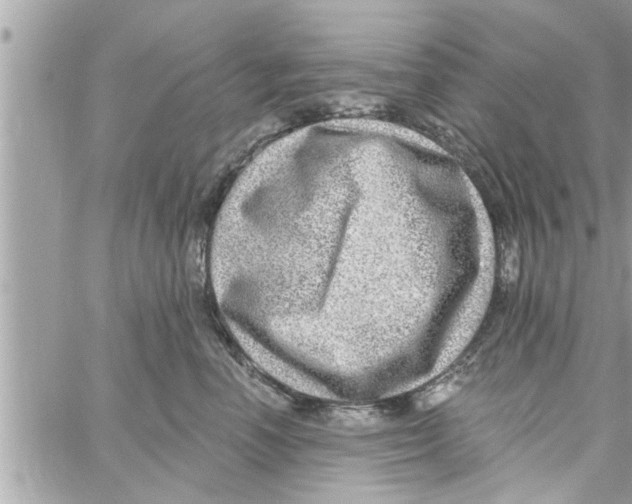 X0000058120666200510212022