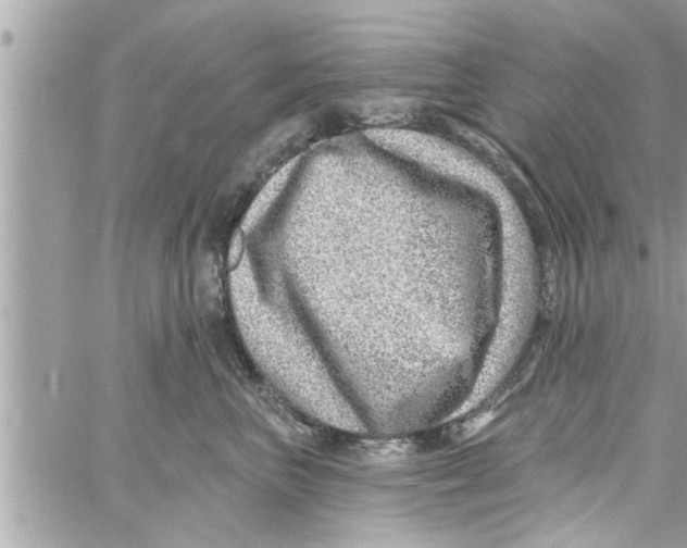 X0000058120667200510212022