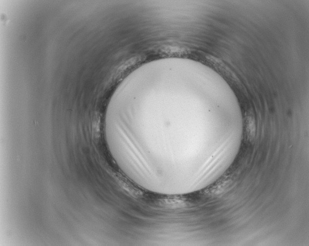 X0000058120668200510212022