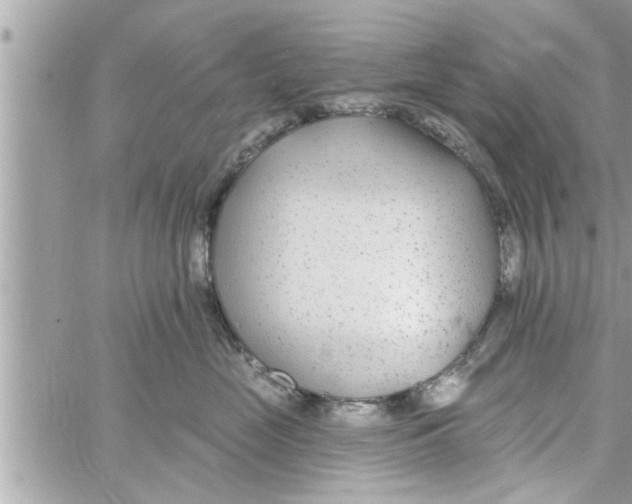 X0000058120669200510212022