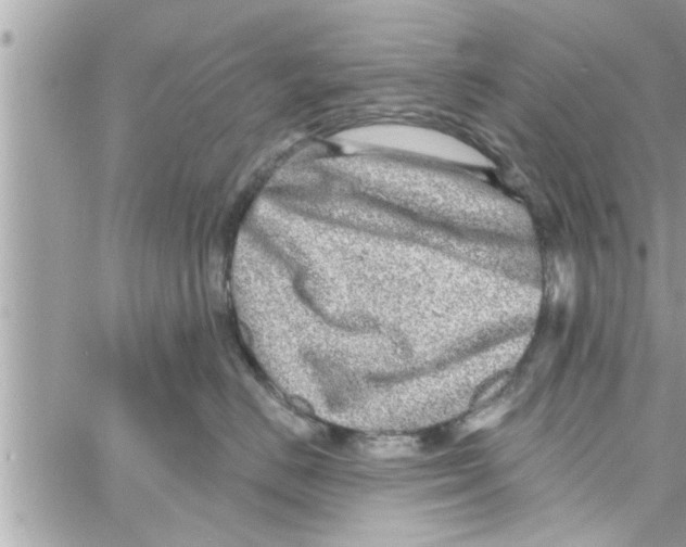 X0000058120670200510212022