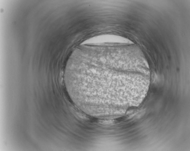 X0000058120671200510212022