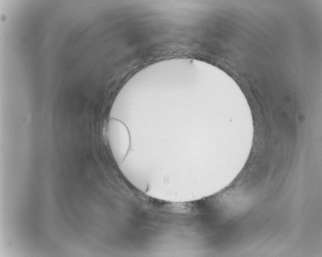 X0000058120672200510212022