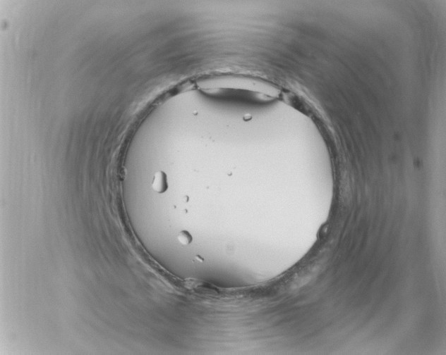 X0000058120673200510212021