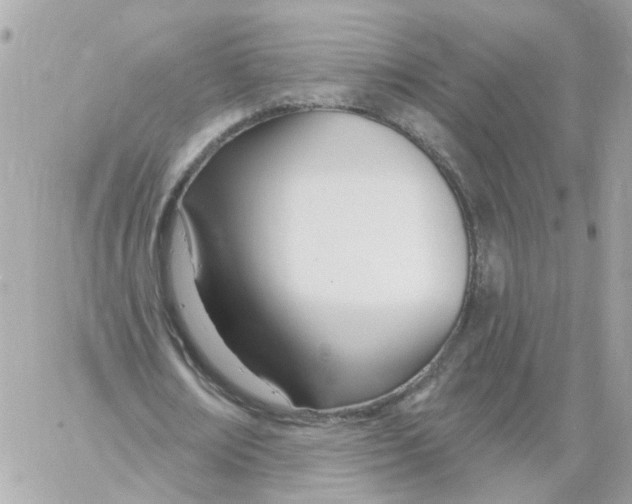 X0000058120674200510212021