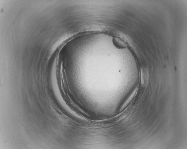 X0000058120675200510212021